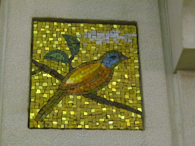 bird