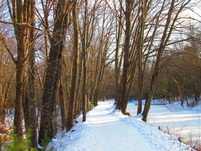 Winter in Uxbridge