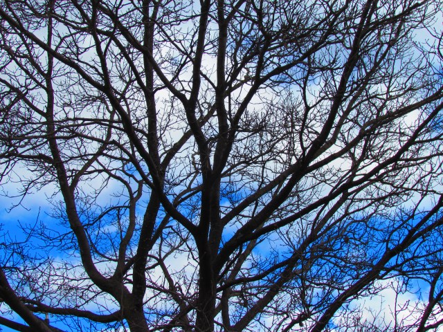 PVD Blue Sky