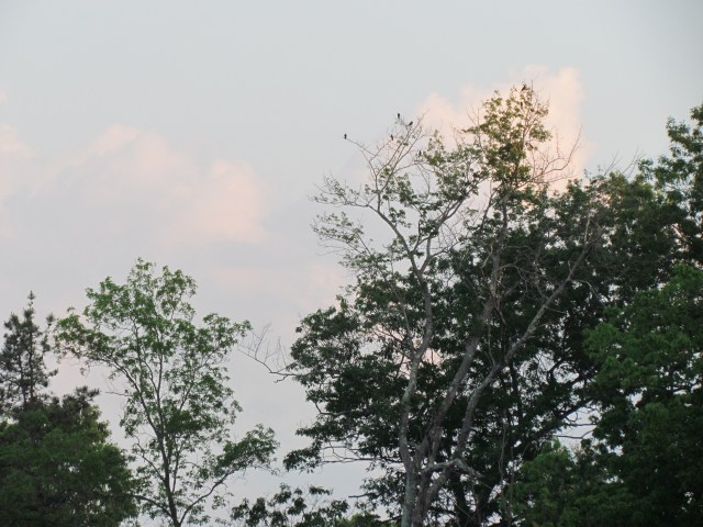 clouds
