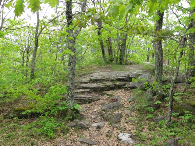 Hawk Summit