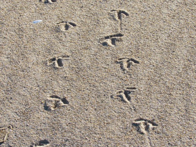 this way