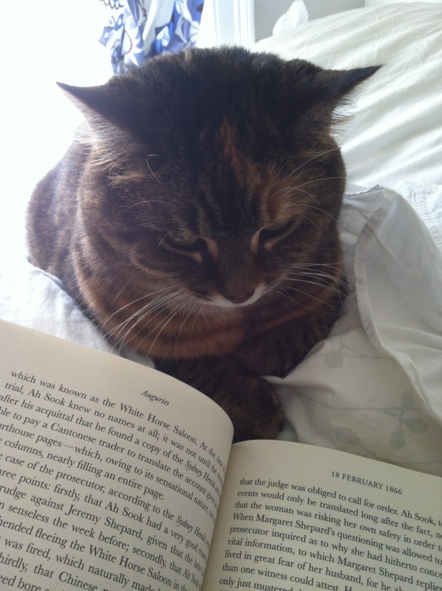 Reading
