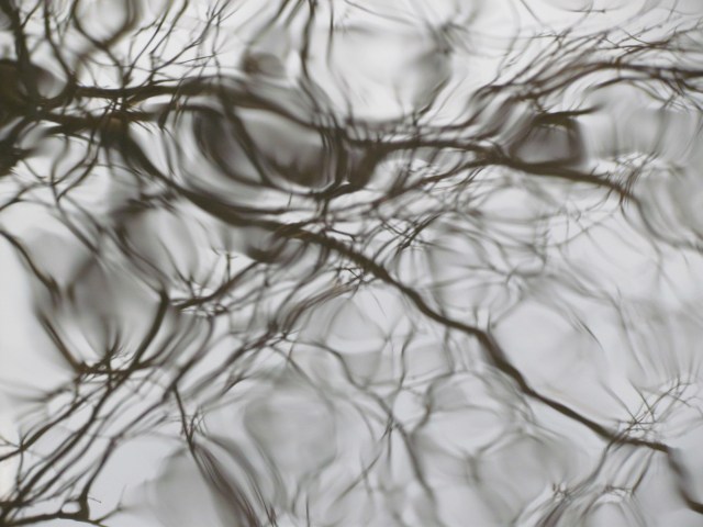 reflection