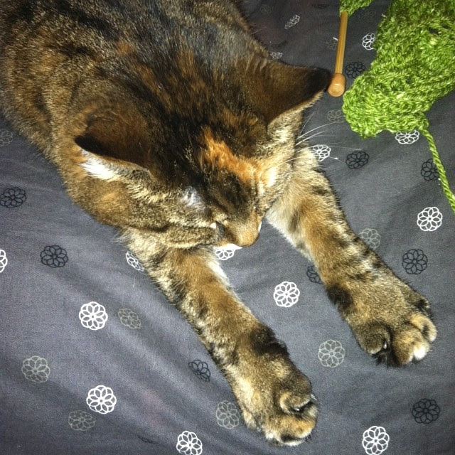 knitting is hard