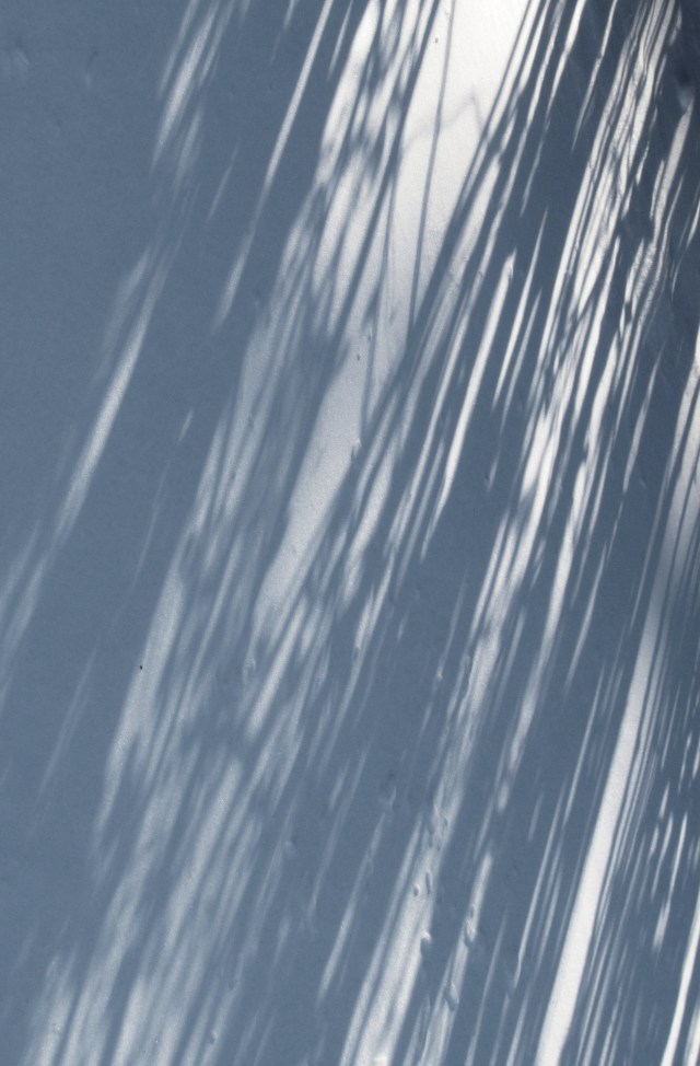 snow shadows bw