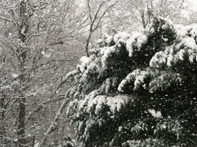 winter 14