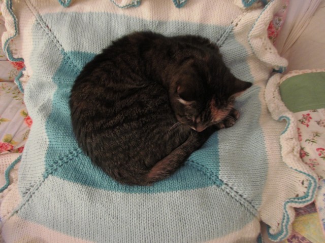 purl dreams kitty approved
