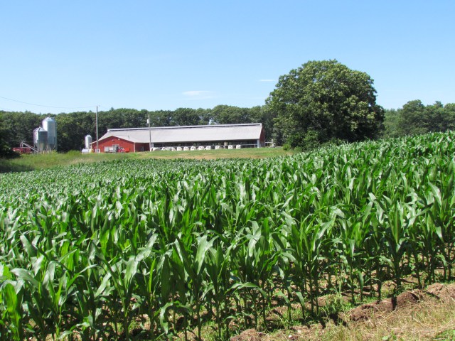 great brook farm