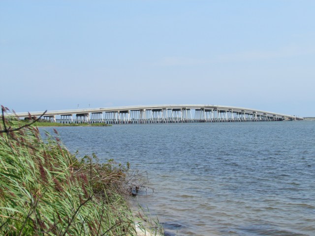 bridge