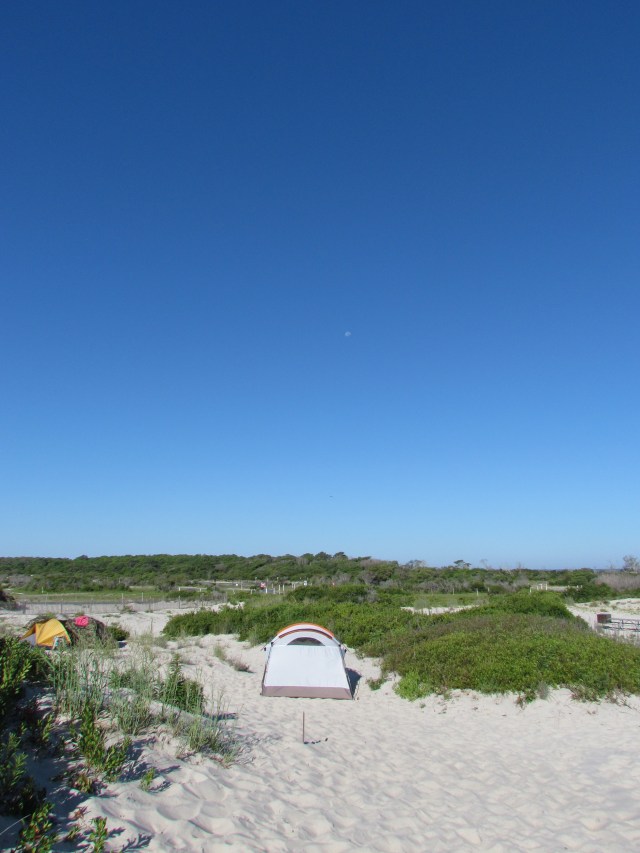 campsite