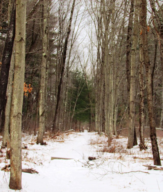 oxbow winter