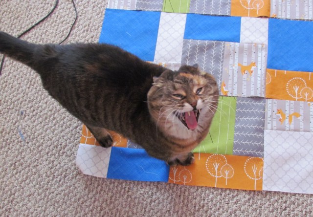 kitty roar