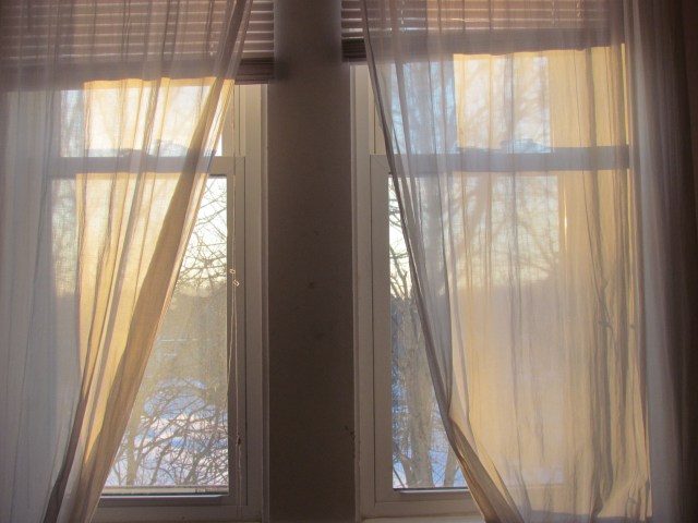 winter light 2