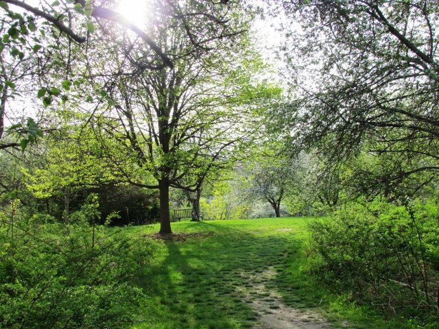 arboretum may