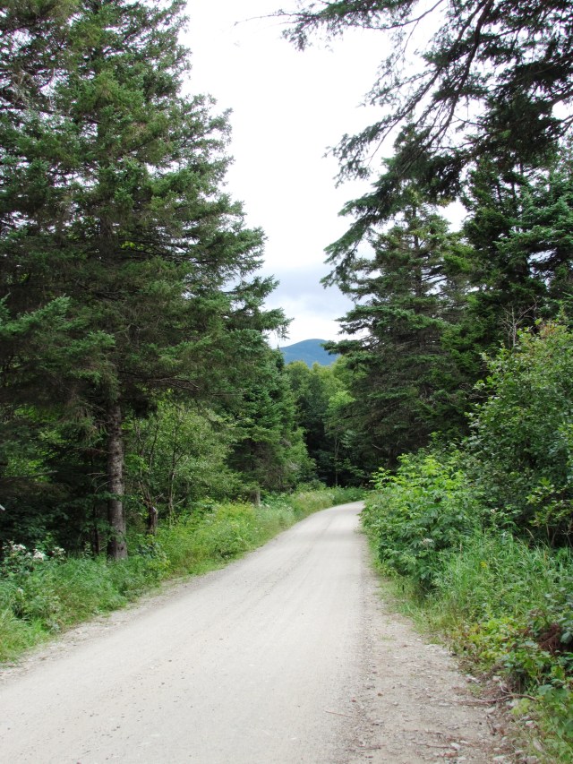 road into campground