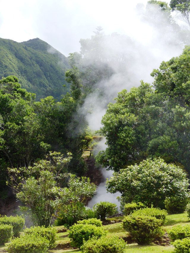 furnas 5