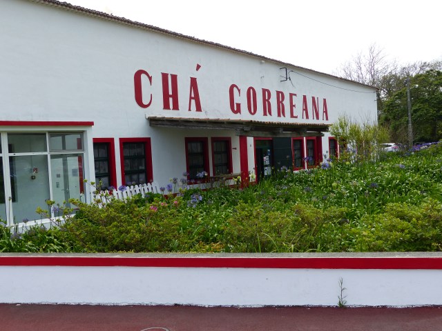 gorreana 1