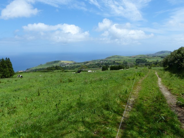 gorreana 15