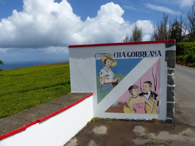 gorreana 2